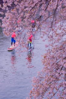 杉戸　SUP　スポーツ　水上